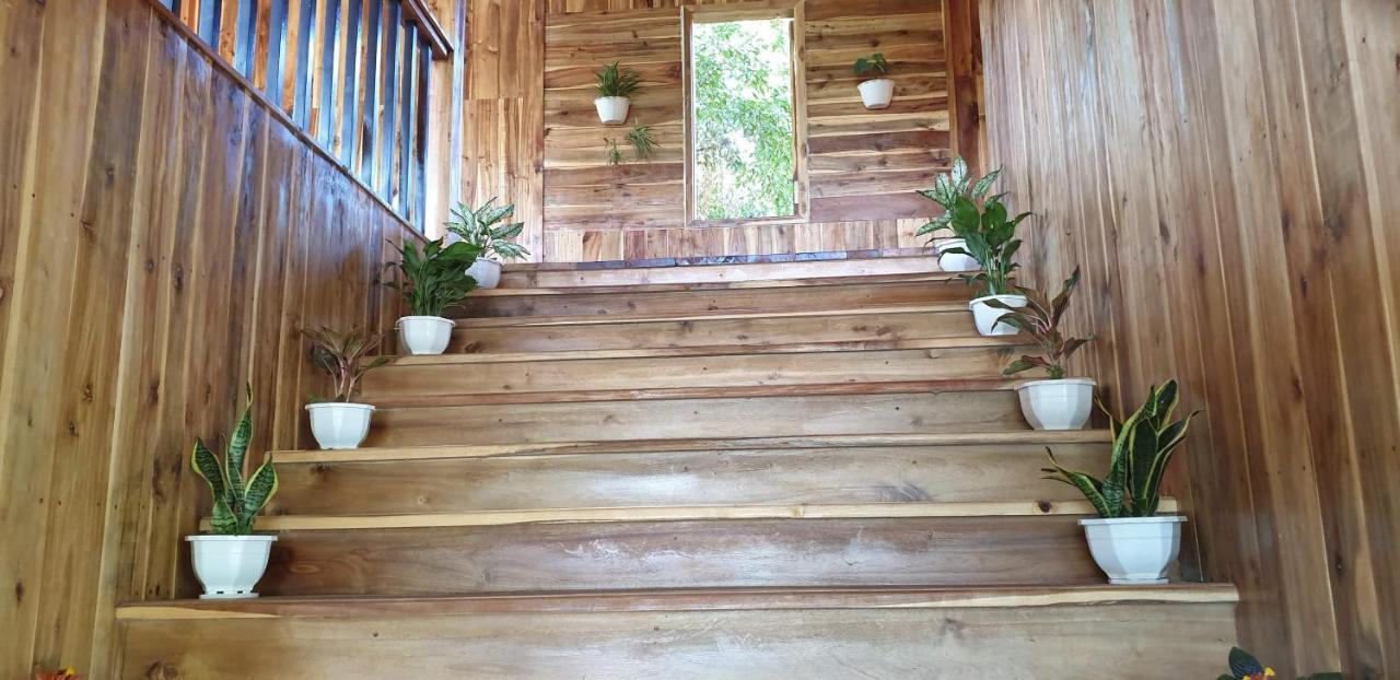 Tuyet'S Homestay Ninh Binh Eksteriør billede