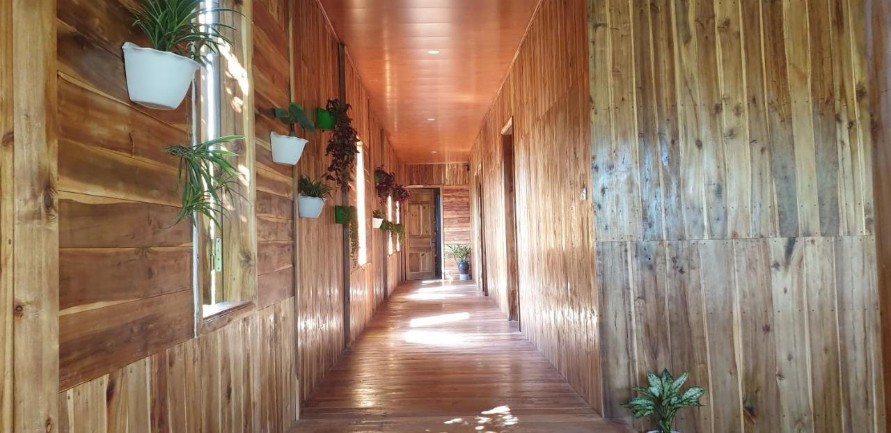 Tuyet'S Homestay Ninh Binh Eksteriør billede