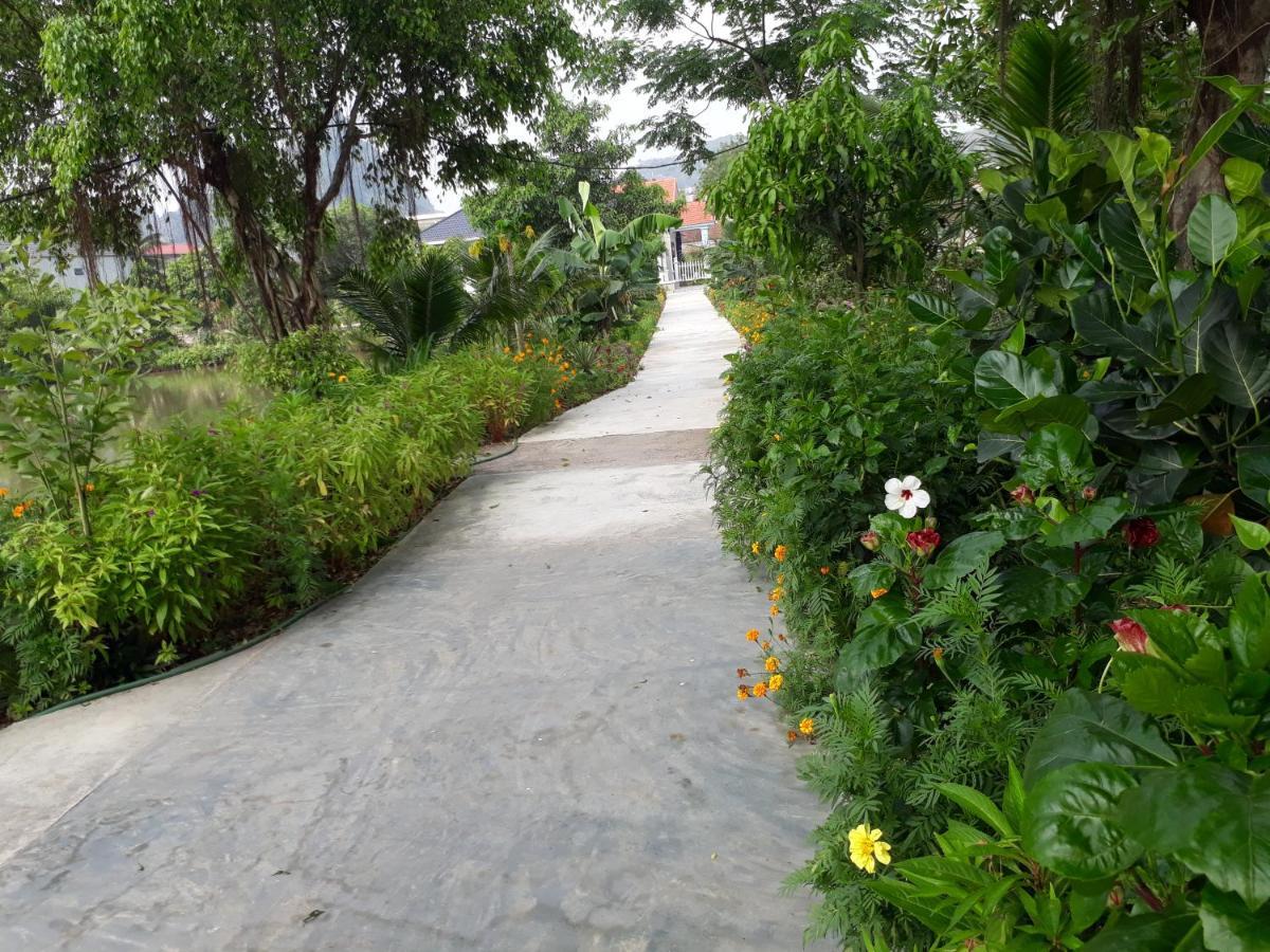 Tuyet'S Homestay Ninh Binh Eksteriør billede