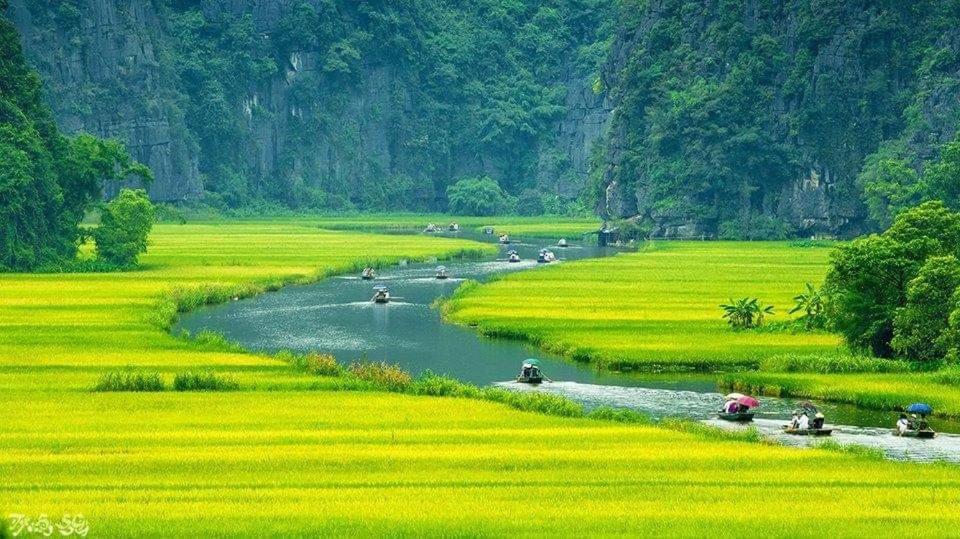 Tuyet'S Homestay Ninh Binh Eksteriør billede