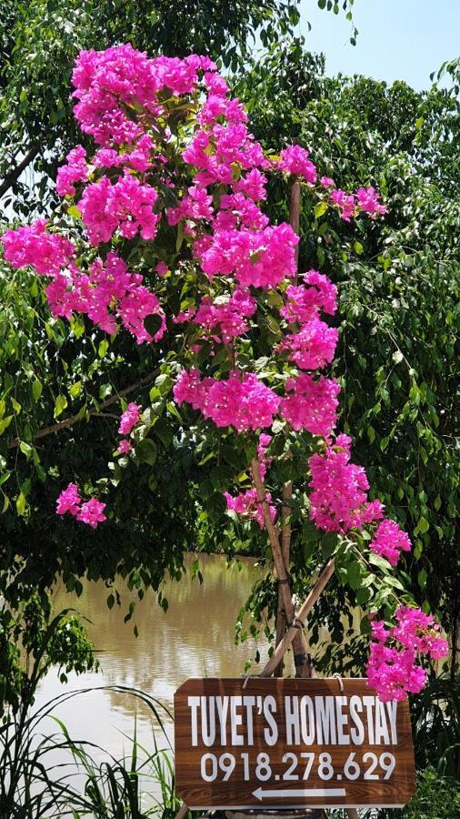 Tuyet'S Homestay Ninh Binh Eksteriør billede