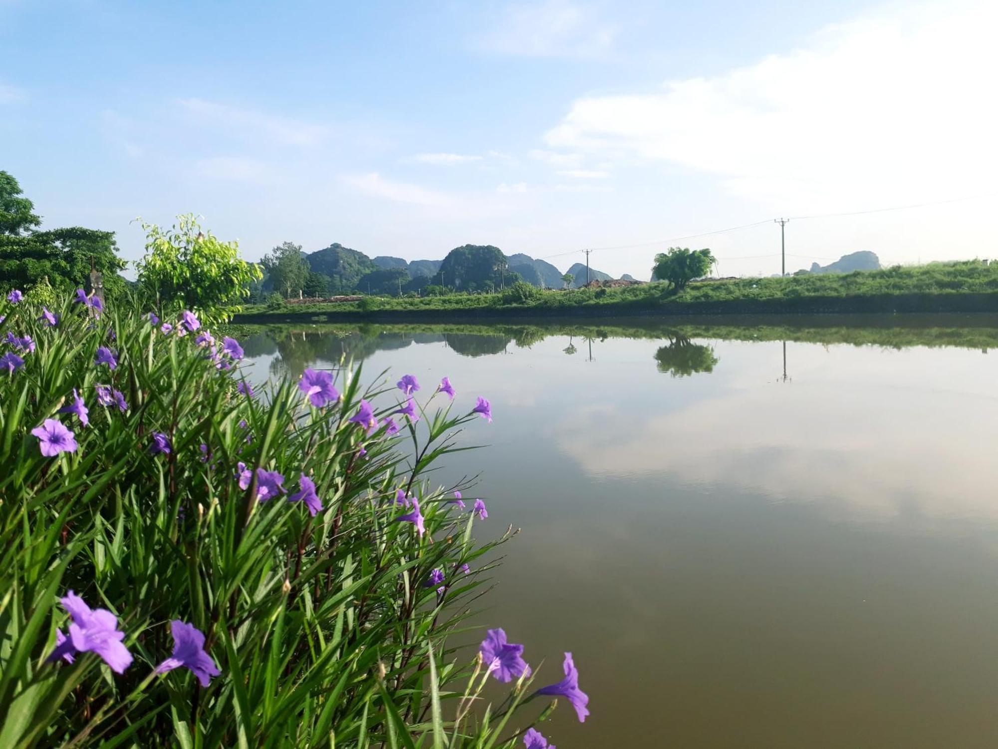 Tuyet'S Homestay Ninh Binh Værelse billede