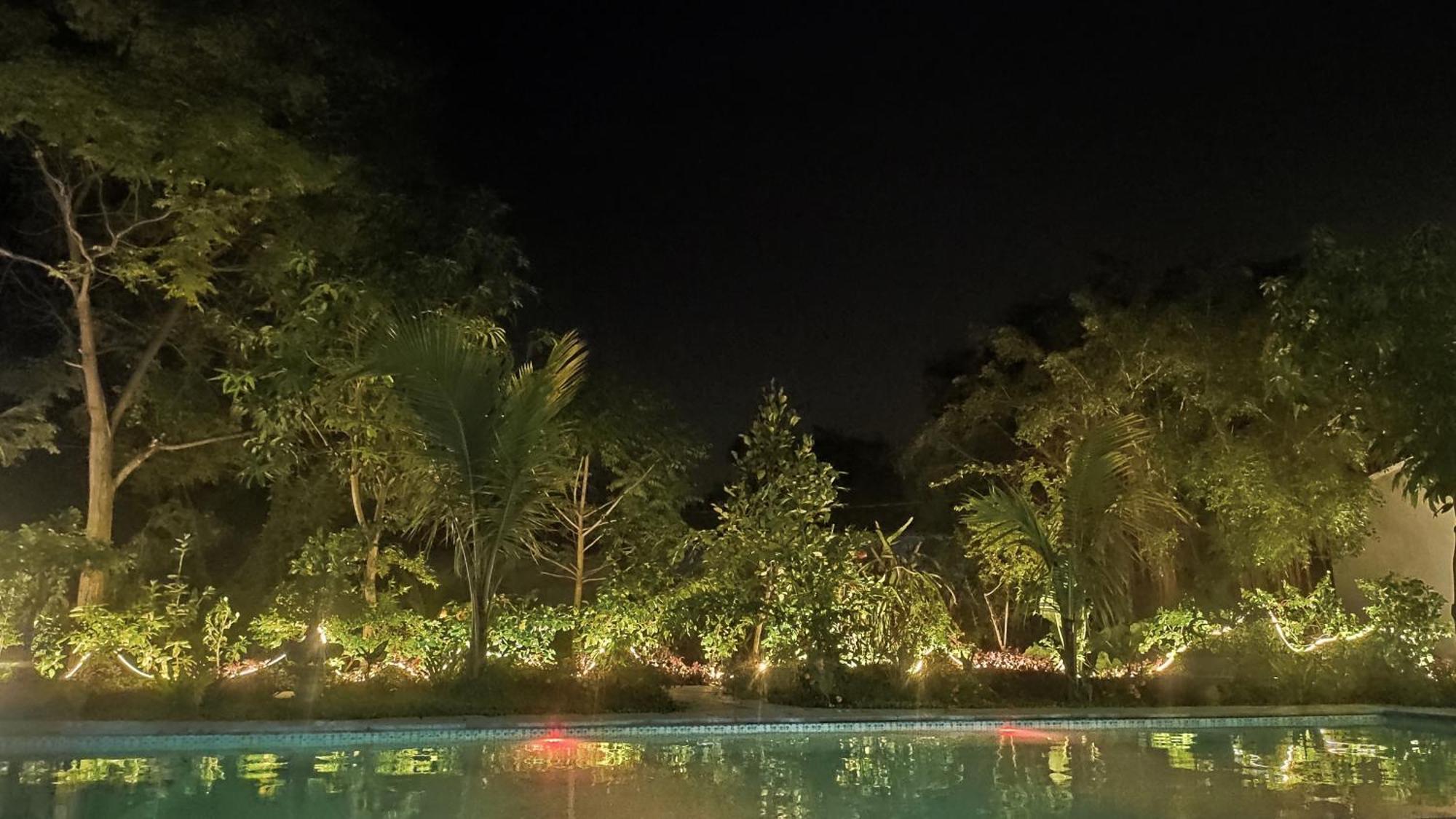 Tuyet'S Homestay Ninh Binh Eksteriør billede